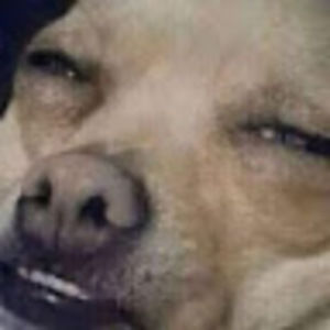 Meet your Posher, Isabel